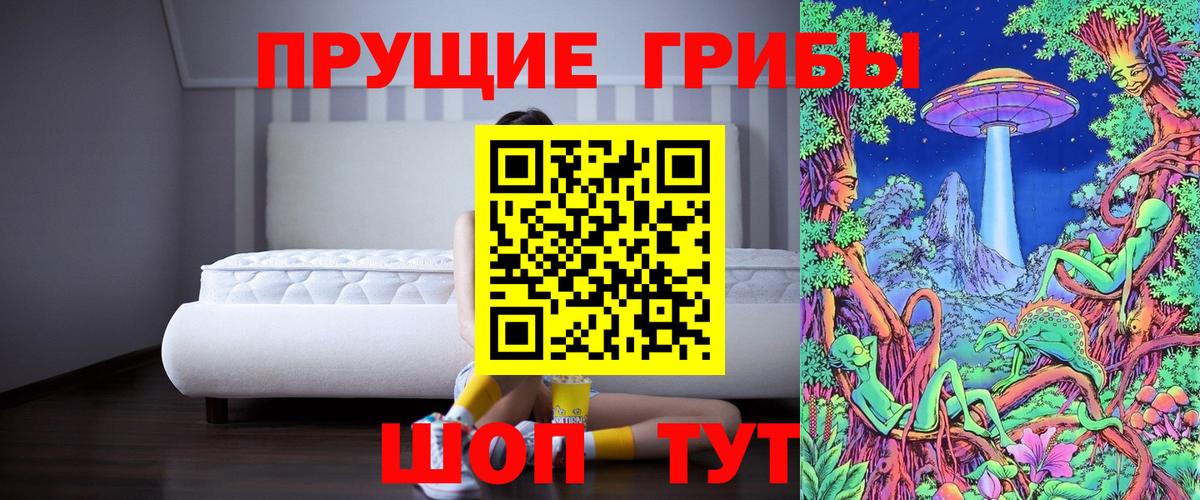 Галлюциногенные грибы Psilocybine cubensis  Вход с VPN  Вятские Поляны 