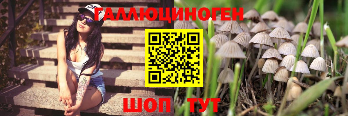 Псилоцибиновые грибы GOLDEN TEACHER Вятские Поляны